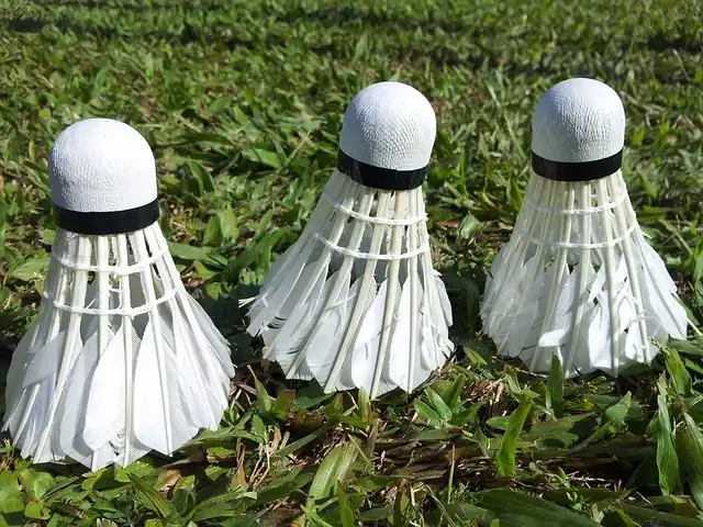 Top Stars Prannoy & Srikanth Dominate Senior Badminton Nationals