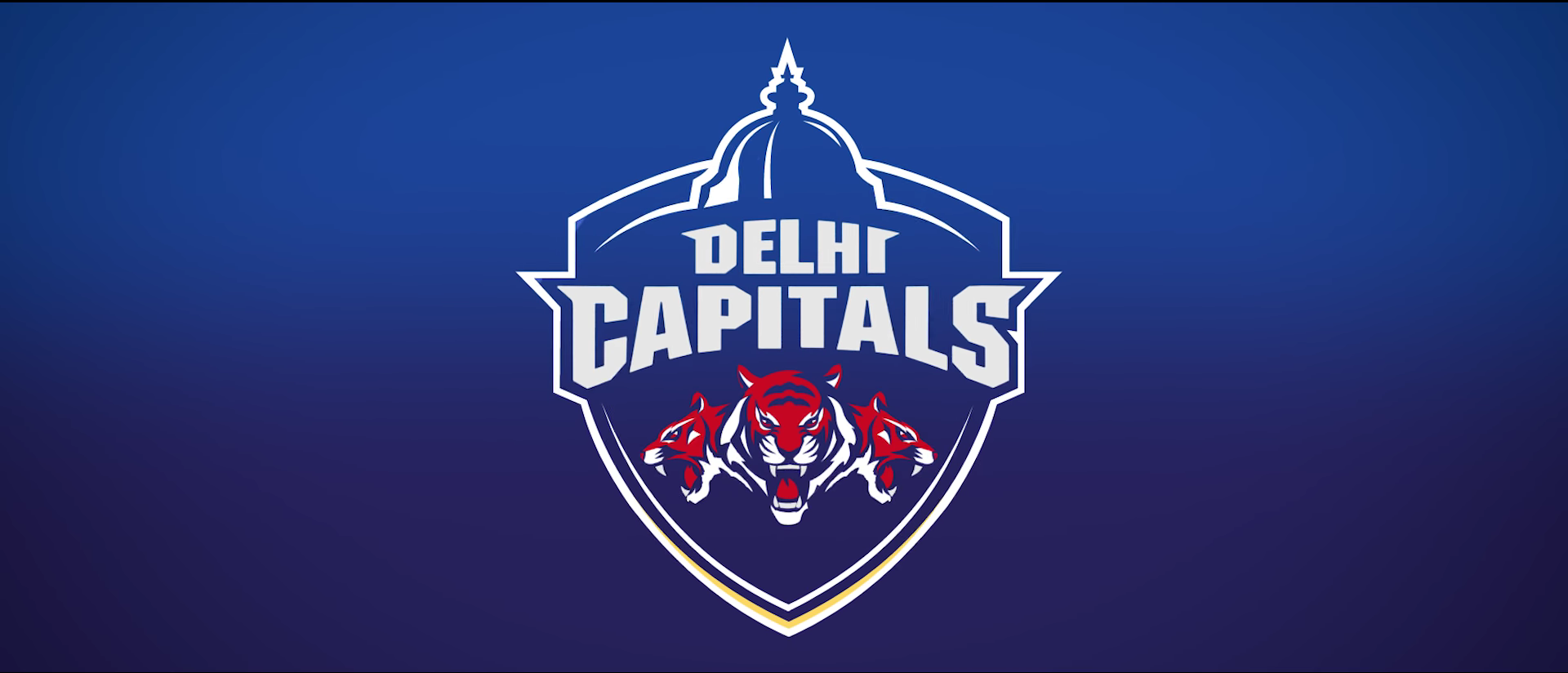 DC IPL 2023: Delhi Capitals Strengths, Weakness, Schedule and Full Squad of IPL 2023 DC IPL 2023