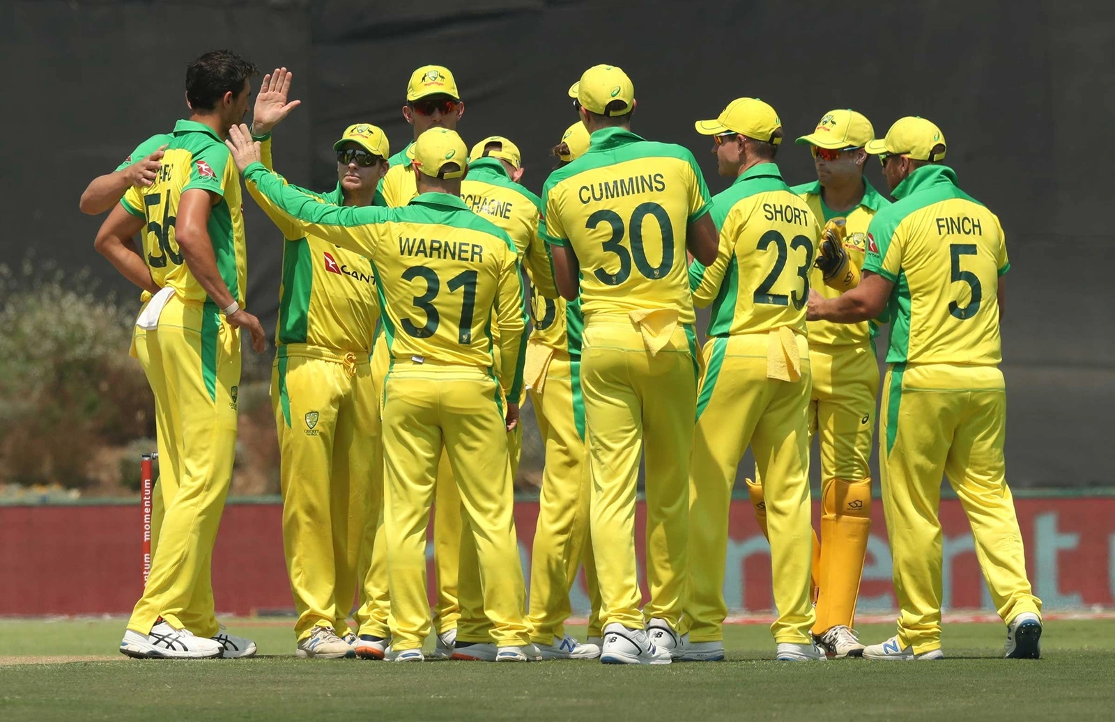 Aussies extend contract list as Carey declines offer