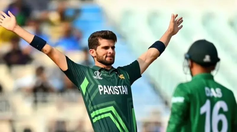 Pakistan vs Bangladesh World Cup 2023 Highlights: Pakistan Keep Their Top 4 Hopes Alive, Defeats Bangladesh By 7 Wickets Pakistan vs Bangladesh World Cup 2023 Highlights