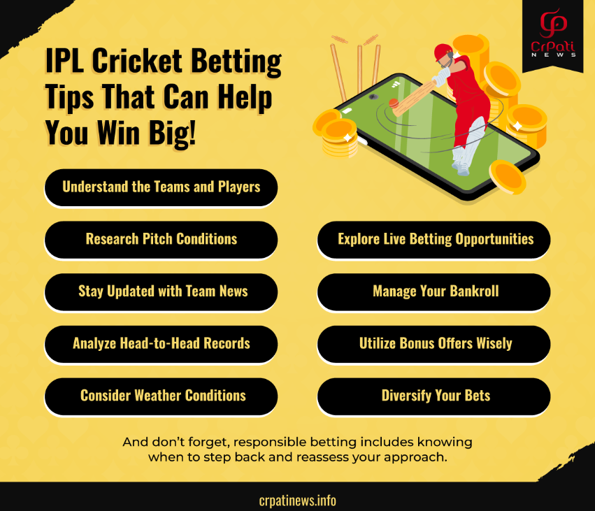 an infographic on IPL betting tips for cricket bettors and gamblers