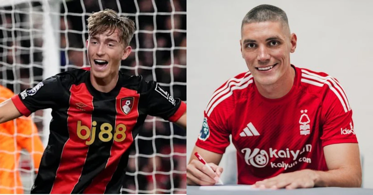 Top 10 Best Premier League Signing