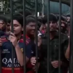 Cricket fans in Bengaluru
