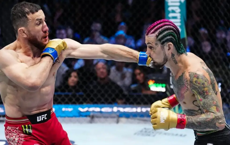Merab Dvalishvili and Sean O'Malley during their fight