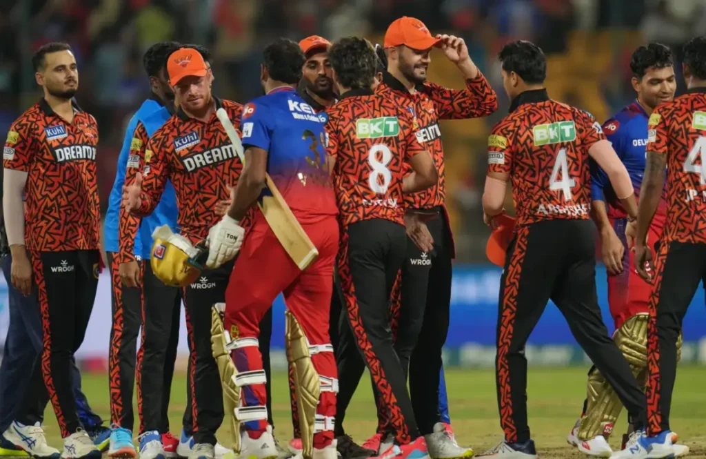 SRH and RCB players during an IPL match